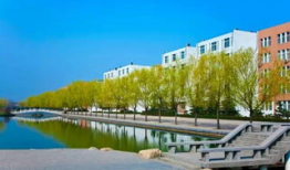 河南技术学院吃瓜爆料,揭秘校园风云事件